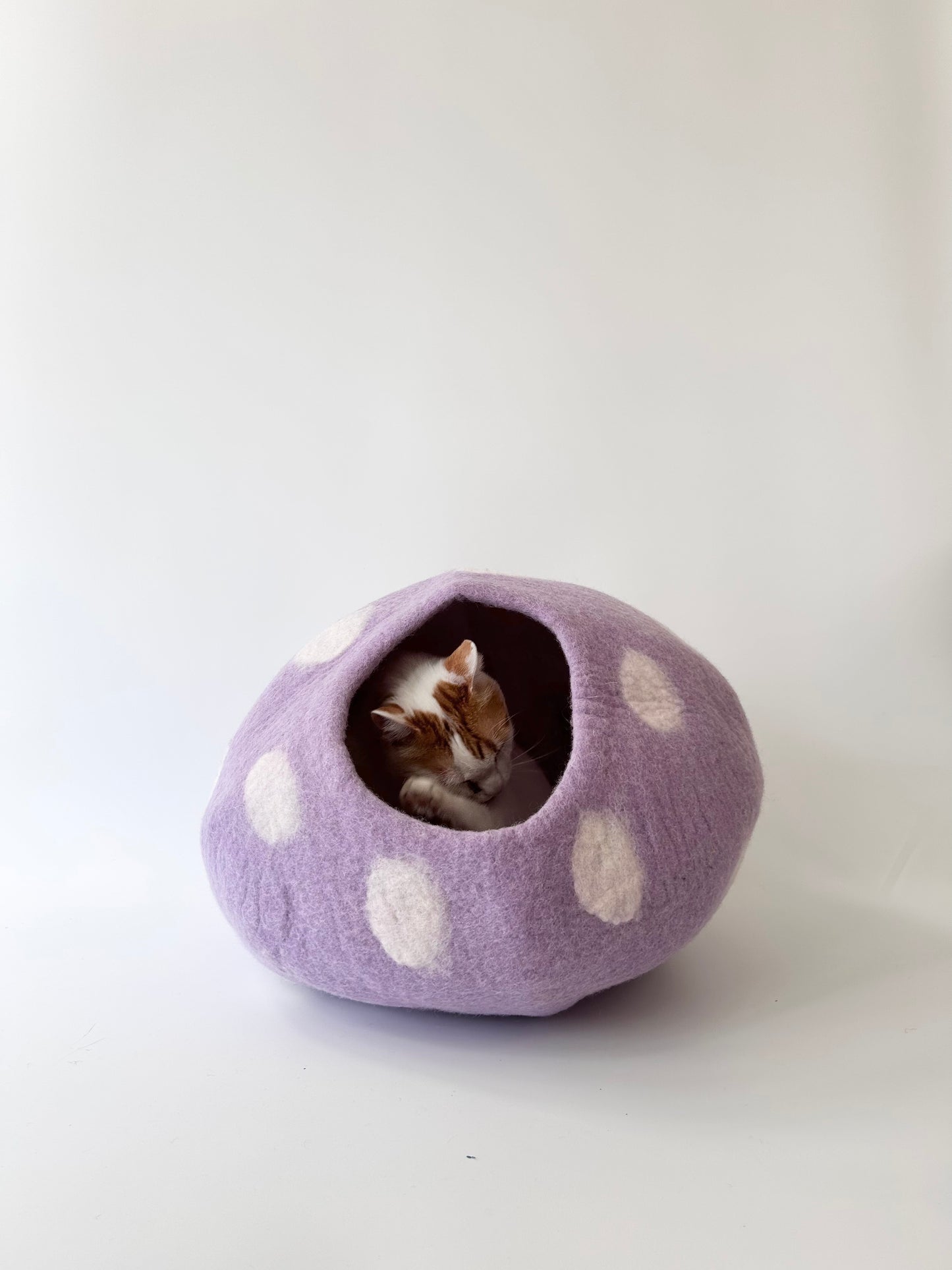 "Taro Bobo" Felt Cat Cave