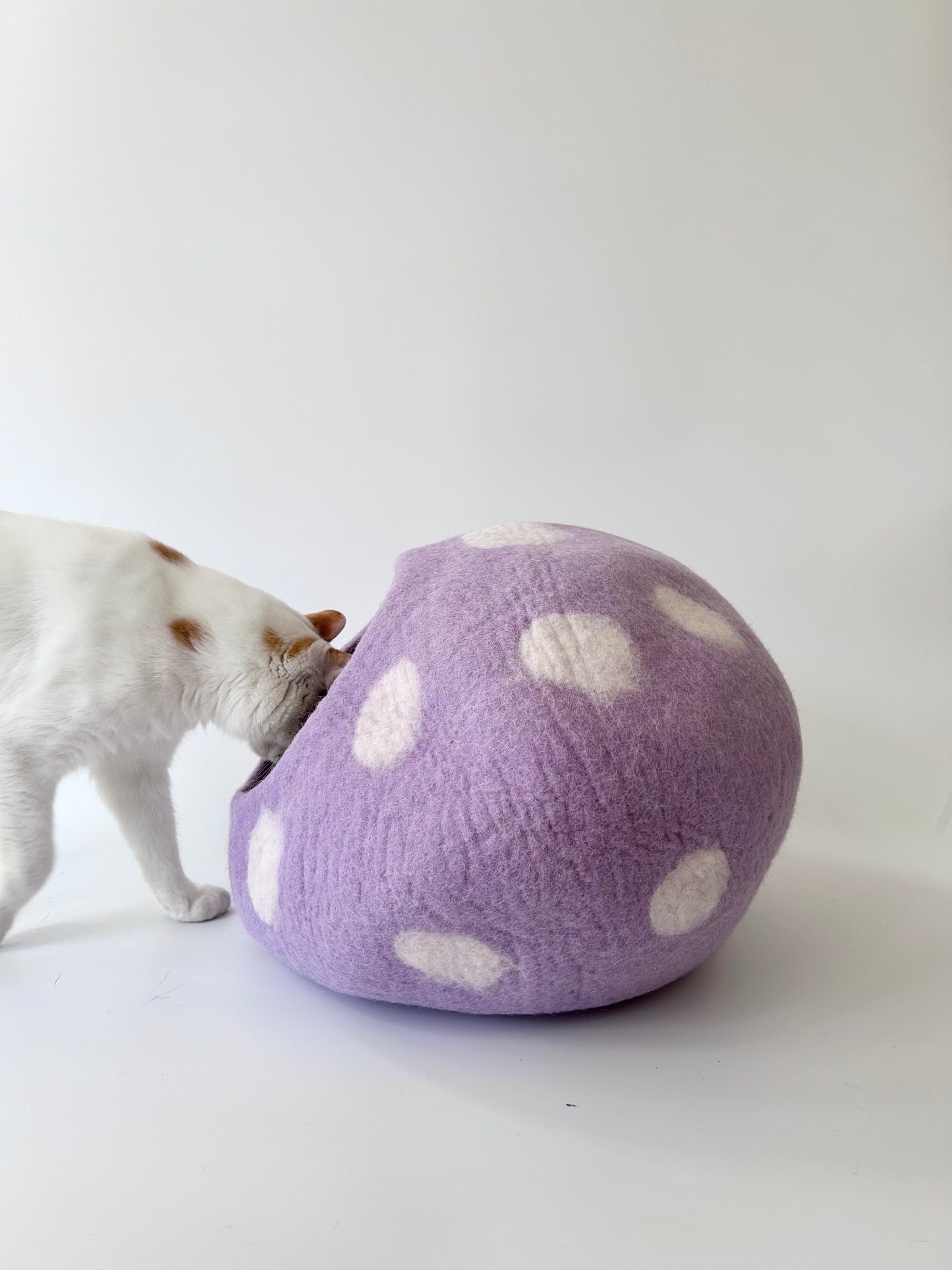 "Taro Bobo" Felt Cat Cave