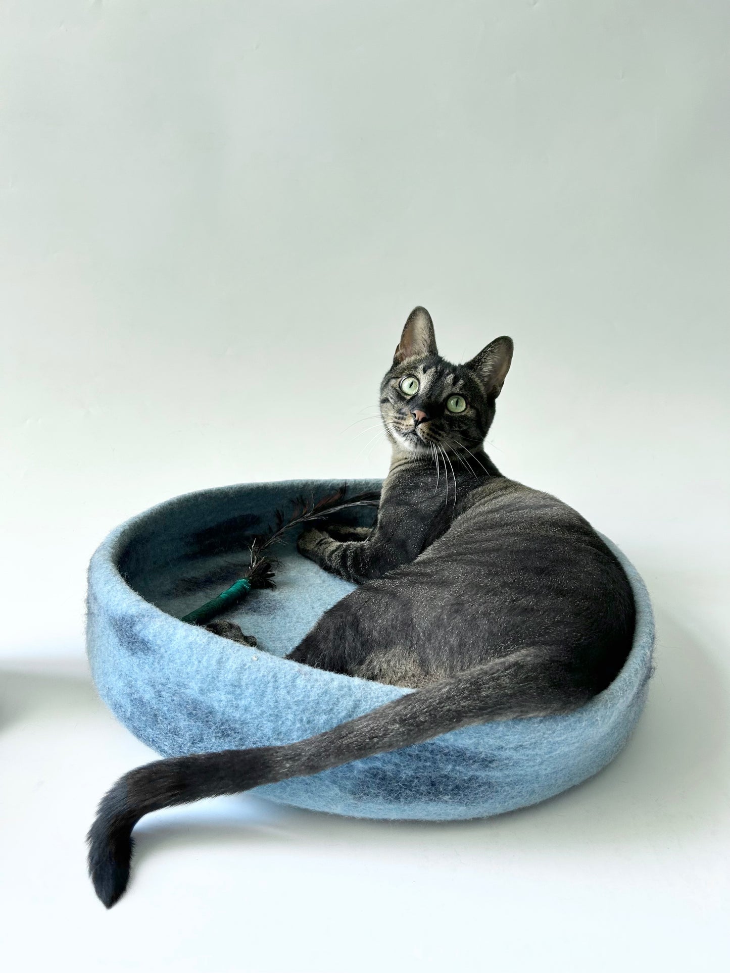 Zzzzap felt Sleeping Pad