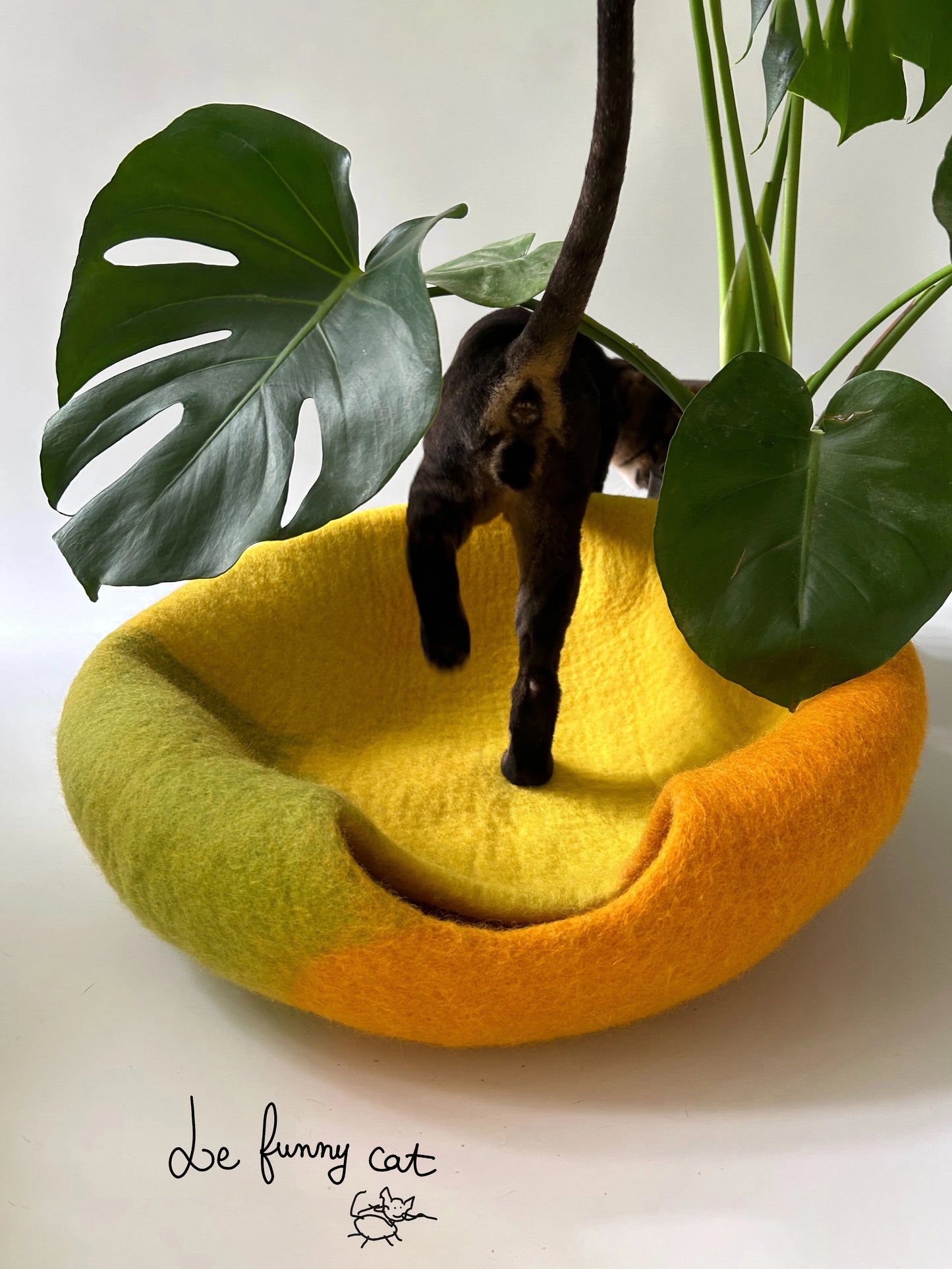 Cat relaxing inside the Amalfi Lemon handmade felt cat cave