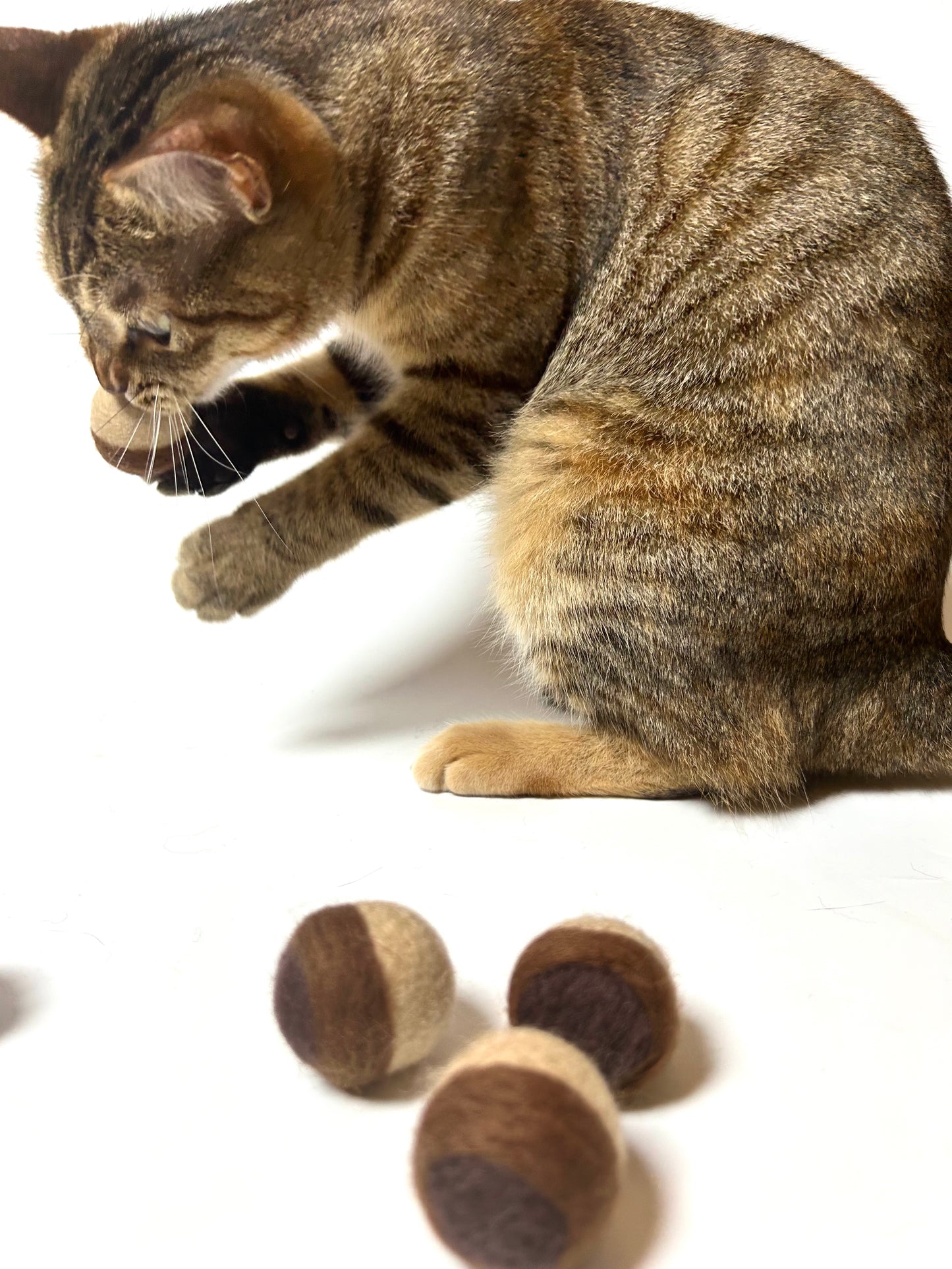 "Chestnut" Safe Felt Cat Toy Balls