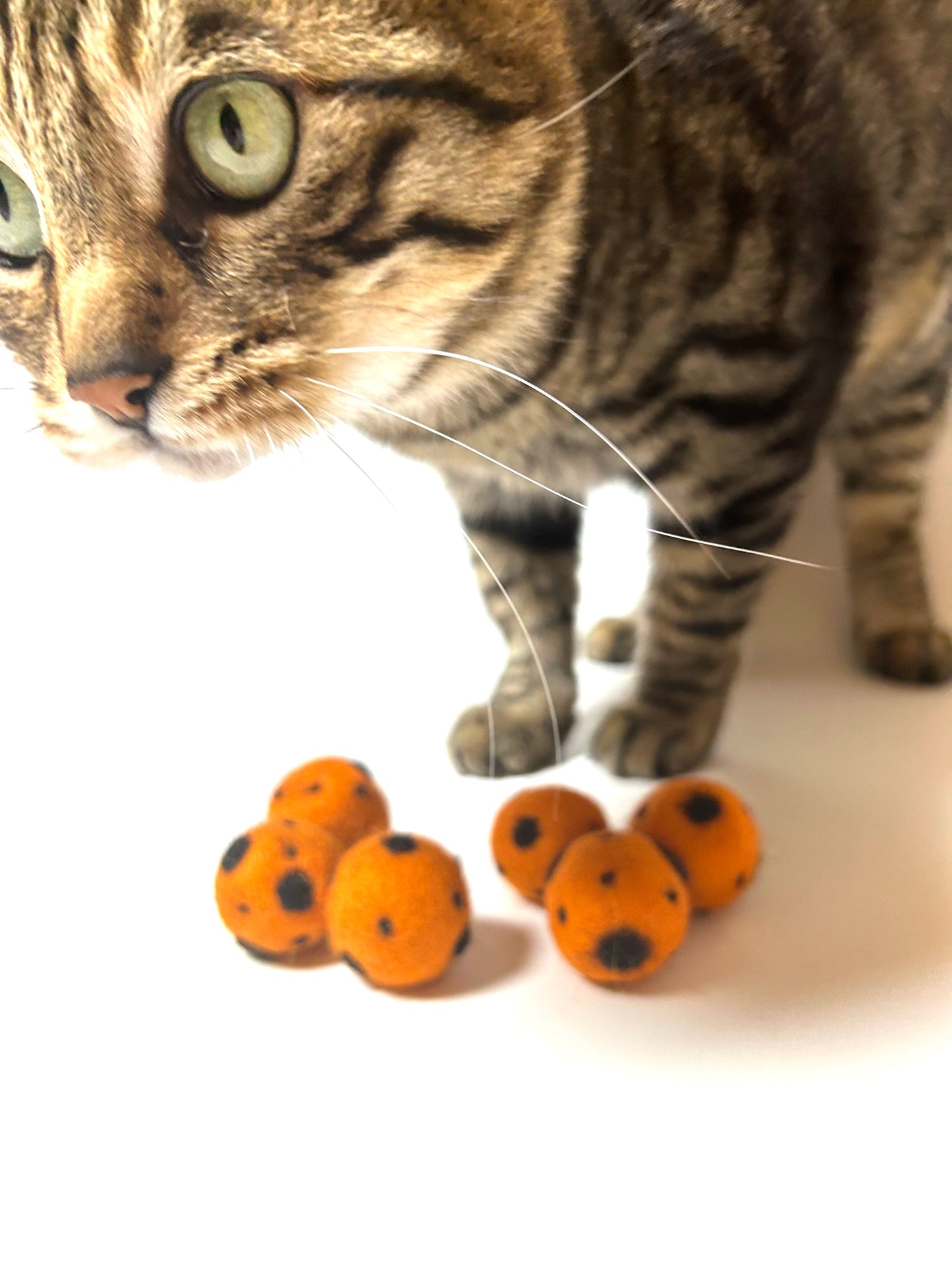 "Mini Rotten Pumpkin" Safe Felt Cat Toy Balls