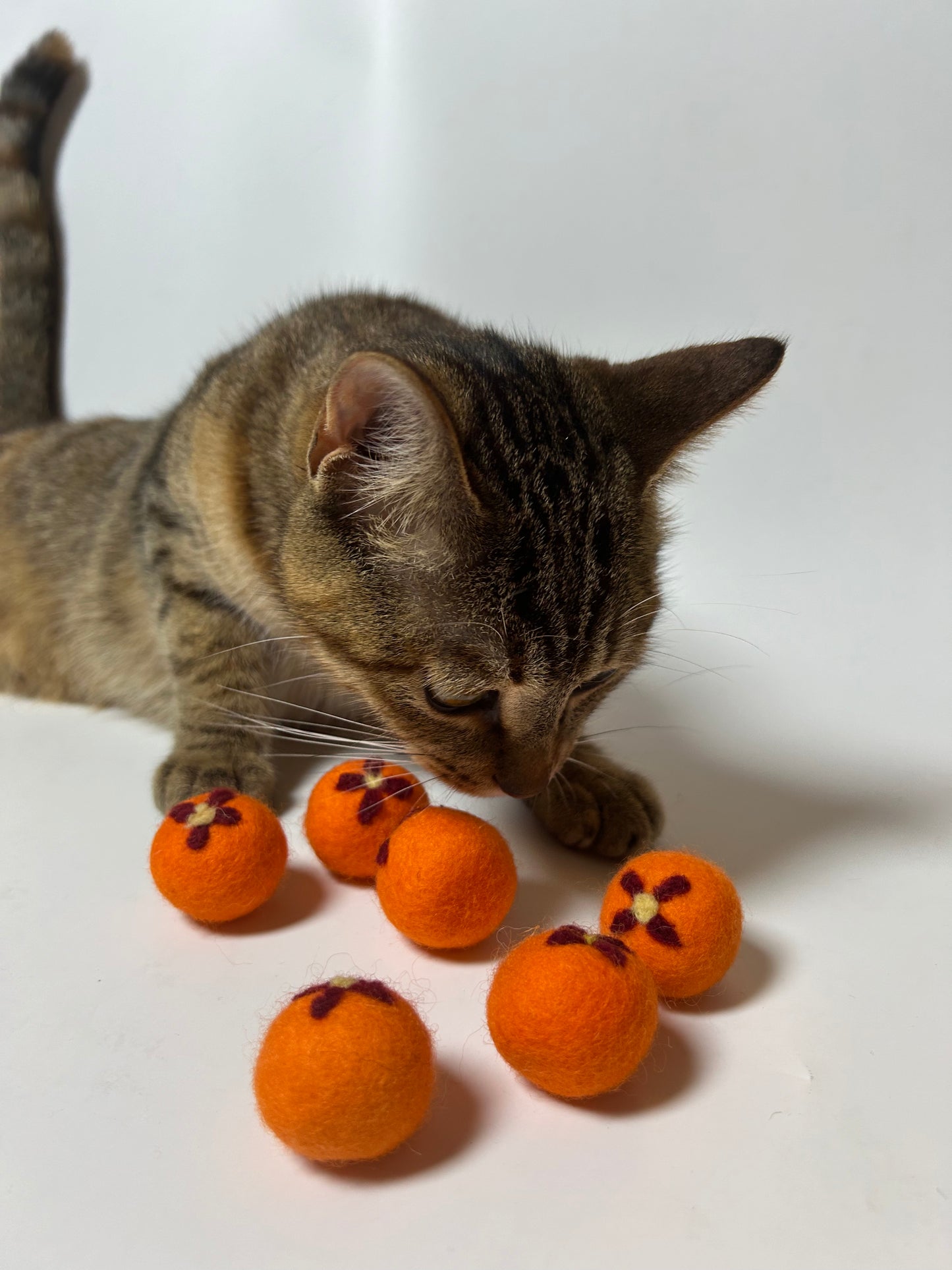 "Sunny Blossom" Safe Felt Cat Toy Balls