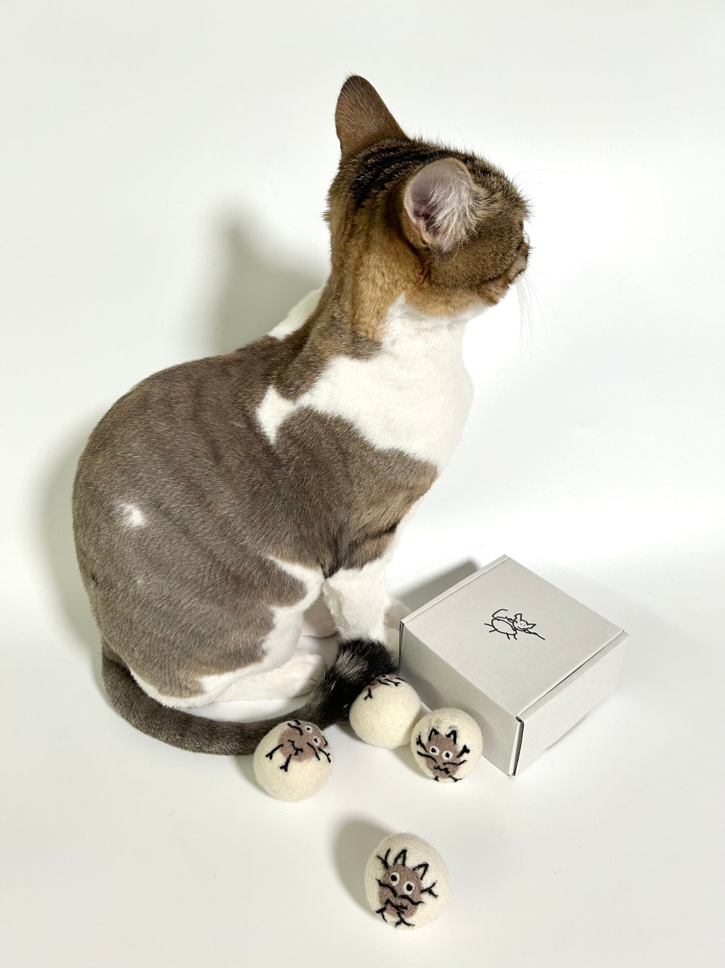 Indoor cat playing with Potato Meow handmade felt toy balls