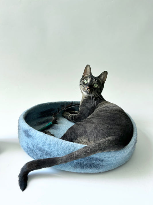Zzzzap felt Sleeping Pad