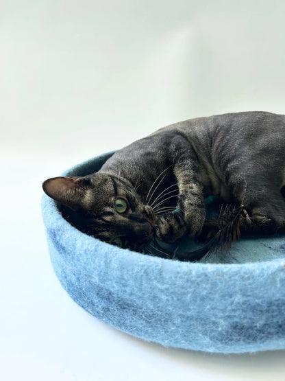 Cat resting comfortably on the Zzzzap handmade felt sleeping pad