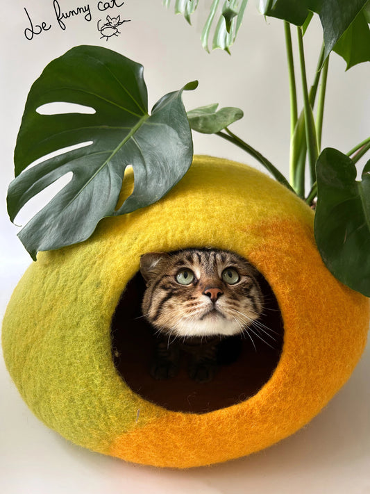 Cat relaxing inside the Amalfi Lemon handmade felt cat cave