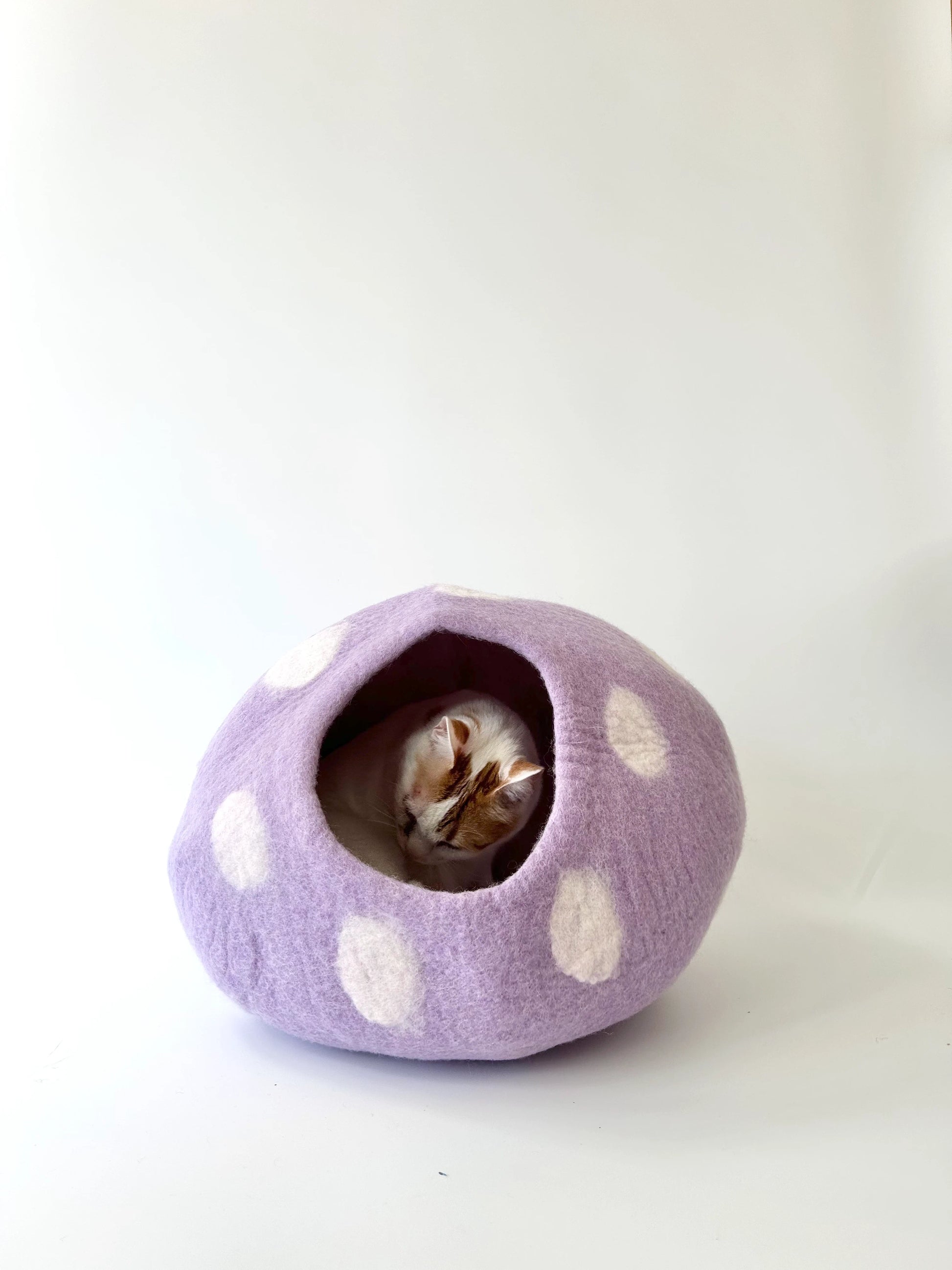 Cat resting inside the handmade Taro Bobo felt cat cave