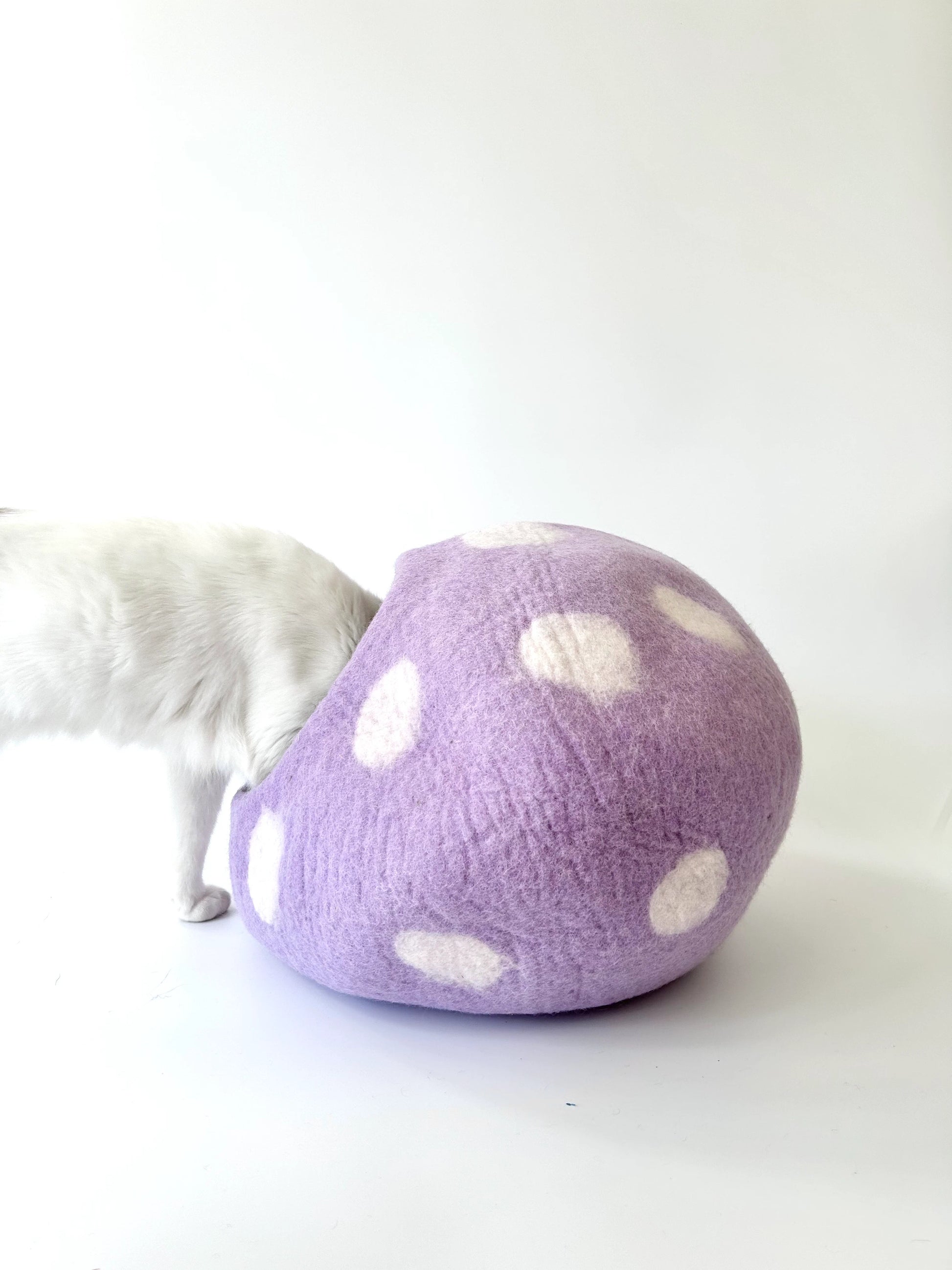 Taro Bobo felt cat cave styled as a cozy home décor piece