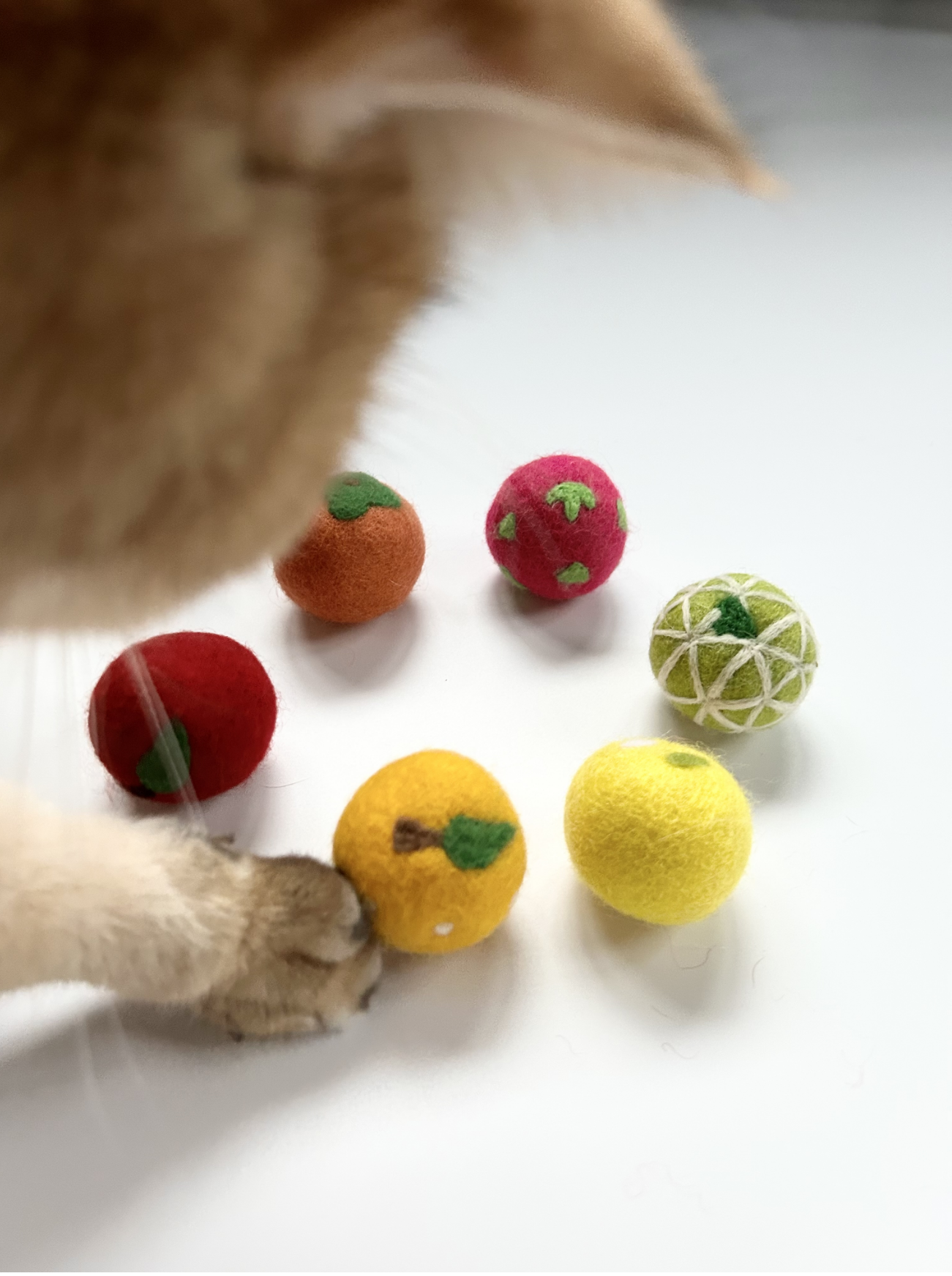 Cat playing with handmade felt cat balls from the Fortune Fruit Box collection