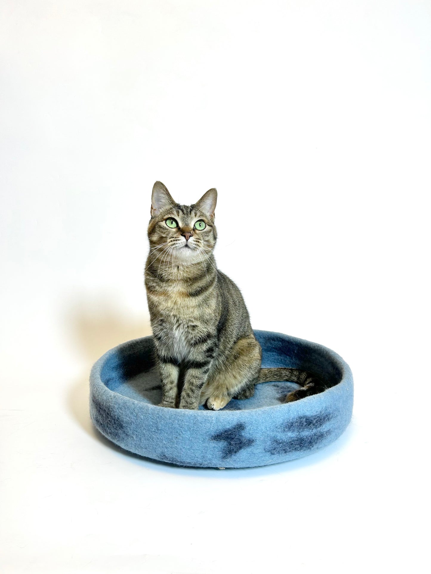 Zzzzap handmade felt sleeping pad for cats
